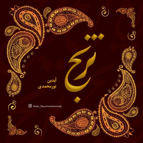 دانلود آهنگ آیدین نورمحمدی ترنج
